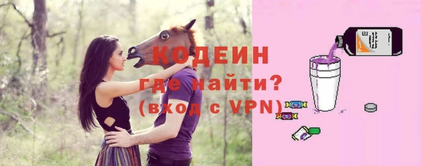 соль ск Кукмор
